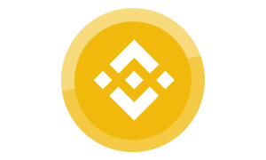 Binance logo pay