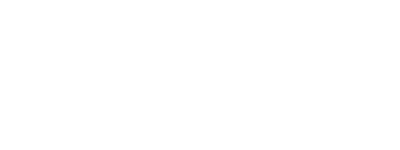 Need for Spin logo